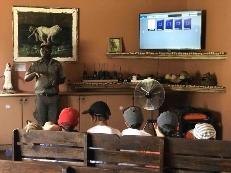 Plettenberg Bay: EcoKidz Family Challenge Wildlife Tour - Wildlife Viewing Highlights