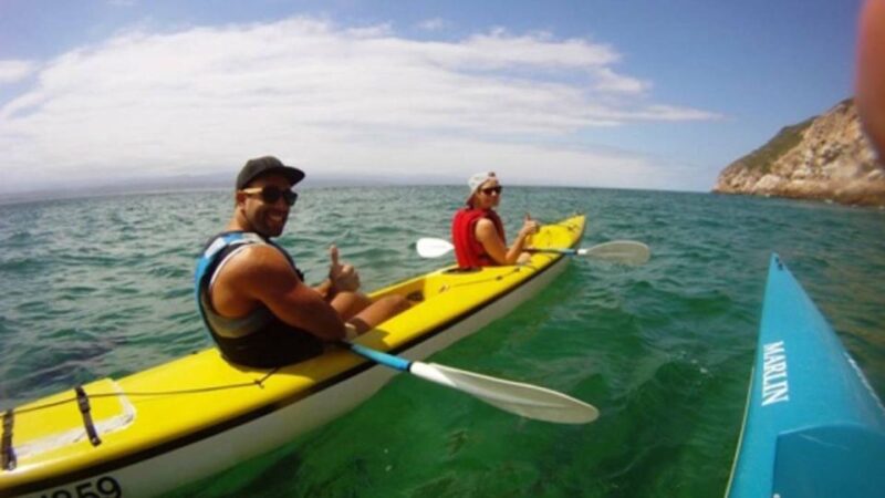 Plettenberg Bay: Guided Sea Kayak Tour - Duration and Availability