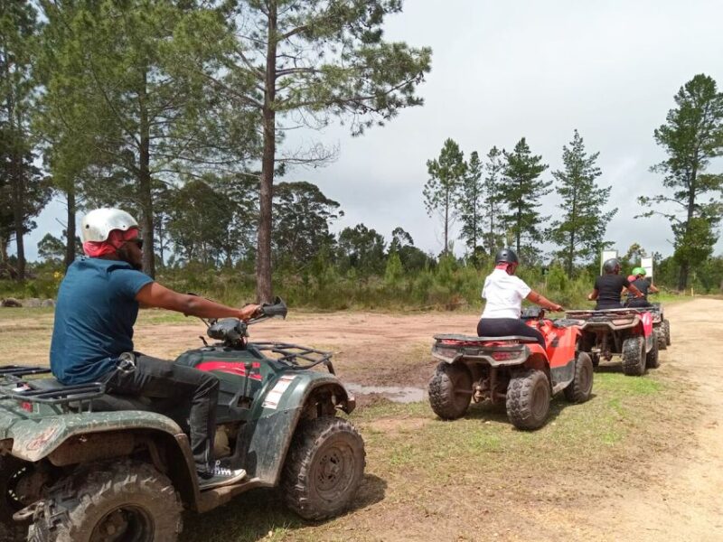 PLETTENBERG BAY: QUAD BIKE FUN RIDE IN THE CRAGS WITH WILDX - Key Points