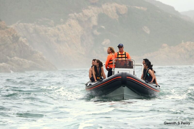 Plettenberg Bay: Seal Colony Viewing Excursion - Key Points