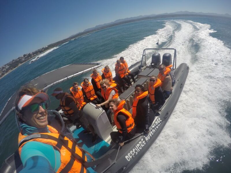 Plettenberg Bay: Seal Colony Viewing Excursion - Pricing and Reservations