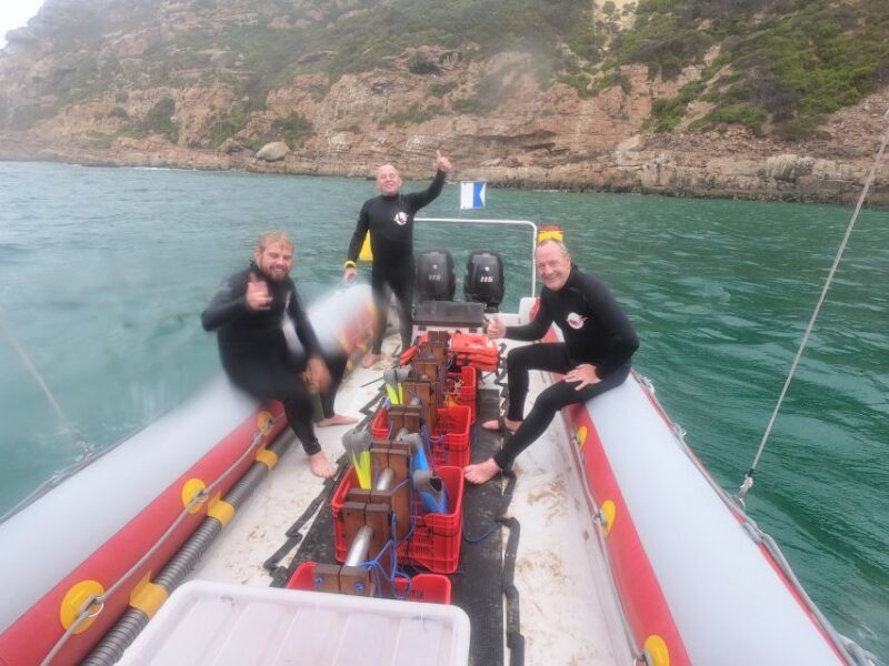 Plettenberg Bay: Seal Swimming Experience - Boat Ride to the Colony