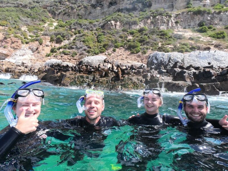 Plettenberg Bay: Seal Swimming Experience - Included Equipment and Amenities