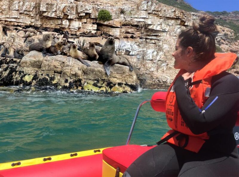 Plettenberg Bay: Seal Viewing Boat Trip - Pricing and Inclusions