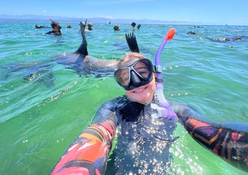 Plettenberg Bay: Seal Viewing Boat Trip - Activities and Highlights