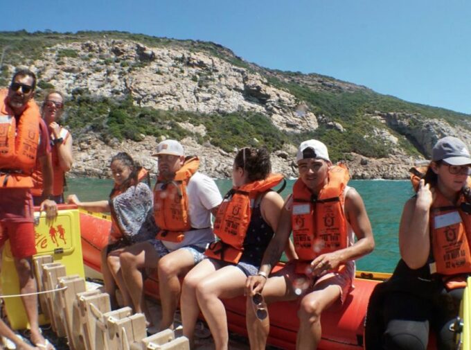 Plettenberg Bay: Seal Viewing Boat Trip - Frequently Asked Questions
