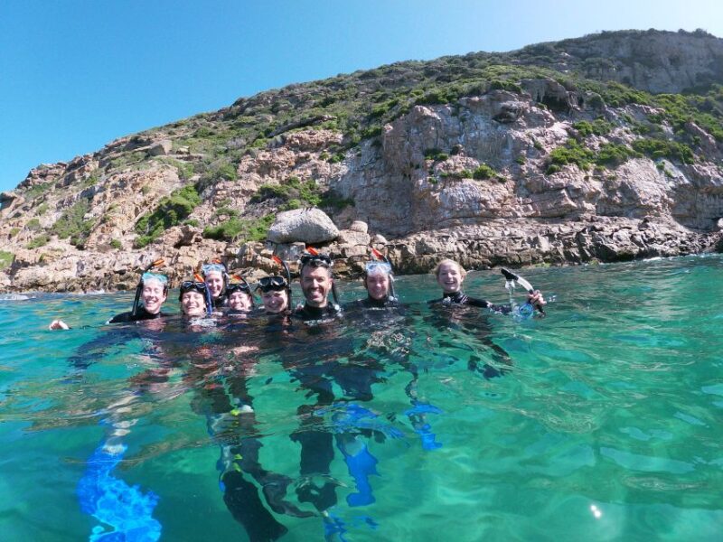 Plettenberg Bay: Swim With Seals - Logistics