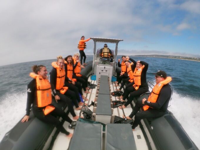 Plettenberg Bay: Swim With Seals - Frequently Asked Questions
