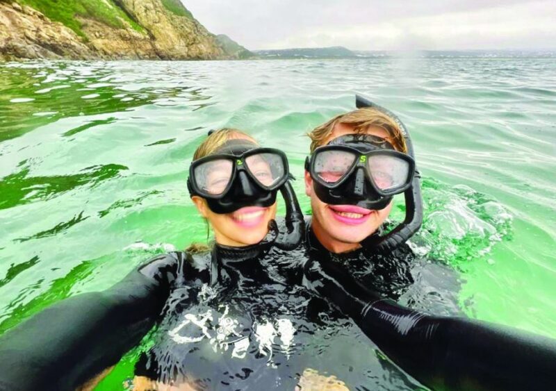 Plettenberg Bay: Swim With the Seals - Pricing