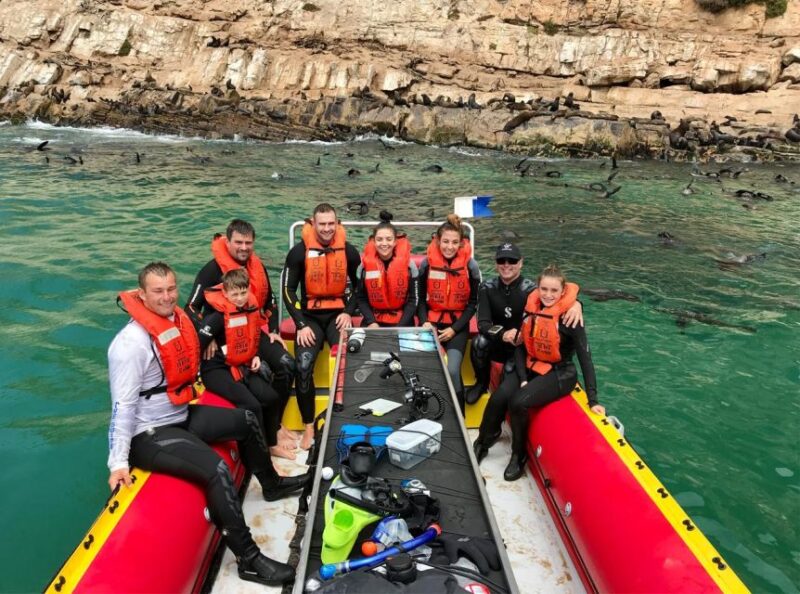 Plettenberg Bay: Swim With the Seals - Meeting Point