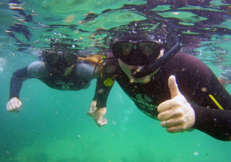 Plettenberg Bay: Swim With the Seals - Weather Dependency