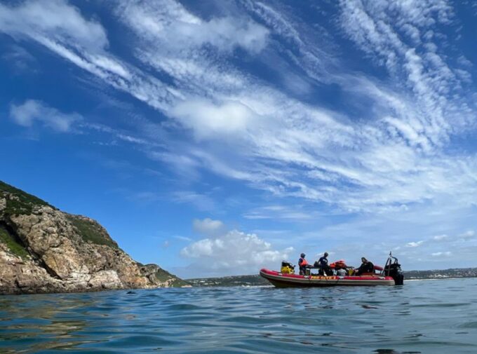 Plettenberg Bay: Swim With the Seals - Photography