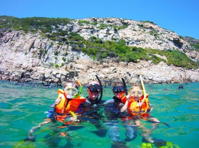 Plettenberg Bay: Swim With the Seals - Camera Rental