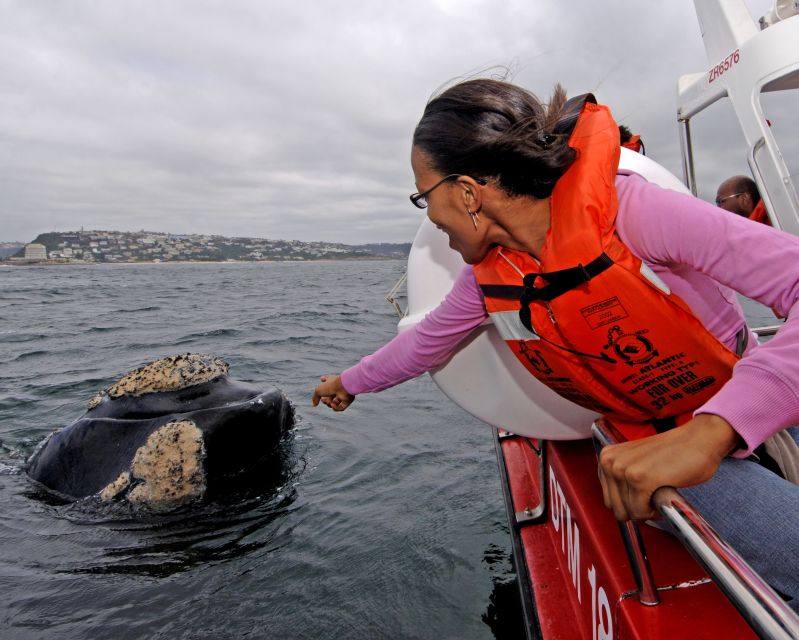 Plettenberg Bay: Whale-Watching Cruise - Safety Equipment Provided