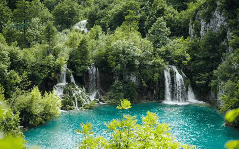 Plitvice Group Tour From Split - Plitvice National Park Highlights