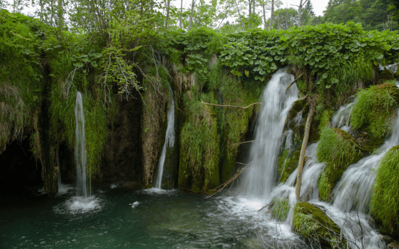 Plitvice Group Tour From Split - Scenic Wooden Walkways