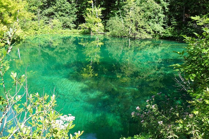 Plitvice Lakes and Rastoke Private Day Tour From Zagreb - Contact Information