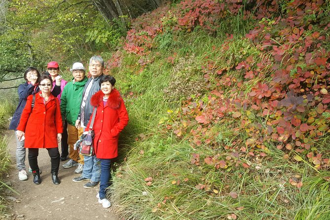 Plitvice Lakes and Rastoke Private Day Tour From Zagreb - Marveling at Plitvices Natural Wonders