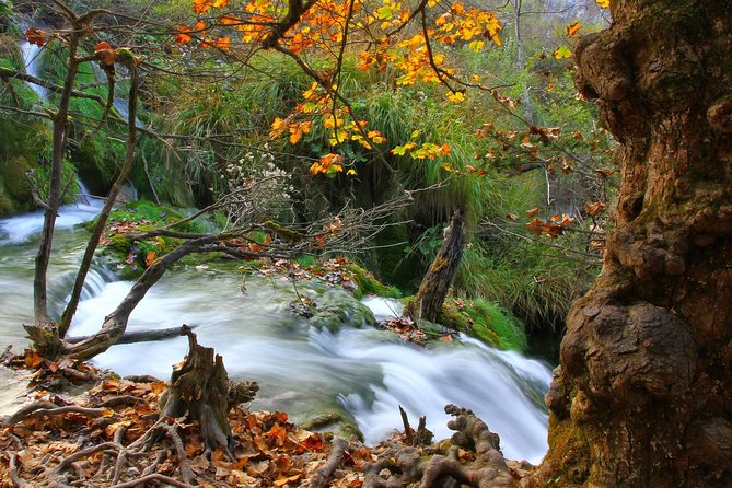 Plitvice Lakes Best of Tour - Breathtaking Scenery