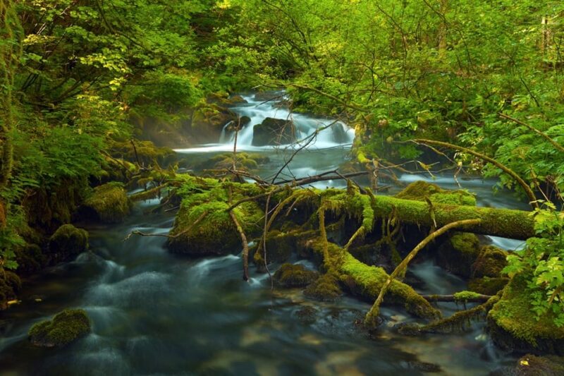 Plitvice Lakes Day Tour From Zagreb - Booking Information
