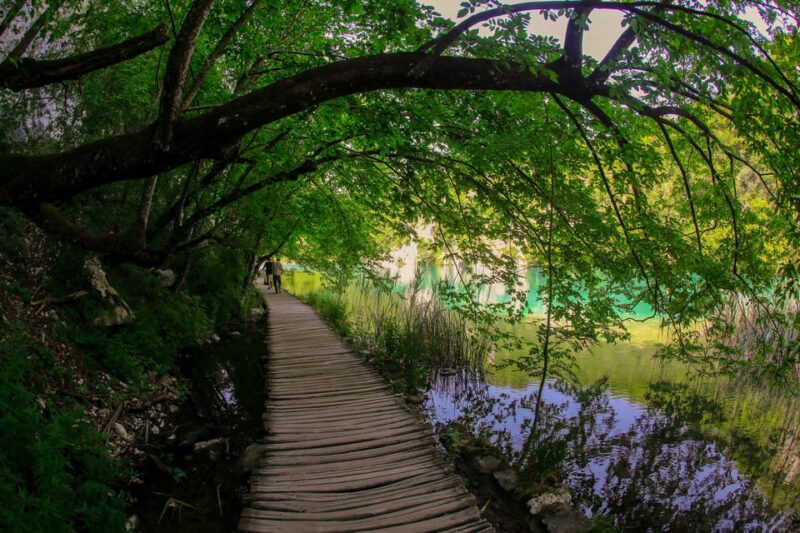 Plitvice Lakes From Zadar: Round-Trip Transfer - Pricing and Booking Details