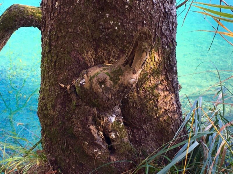 PLITVICE LAKES FULL DAY TOUR WITH LOCAL - Experience Details