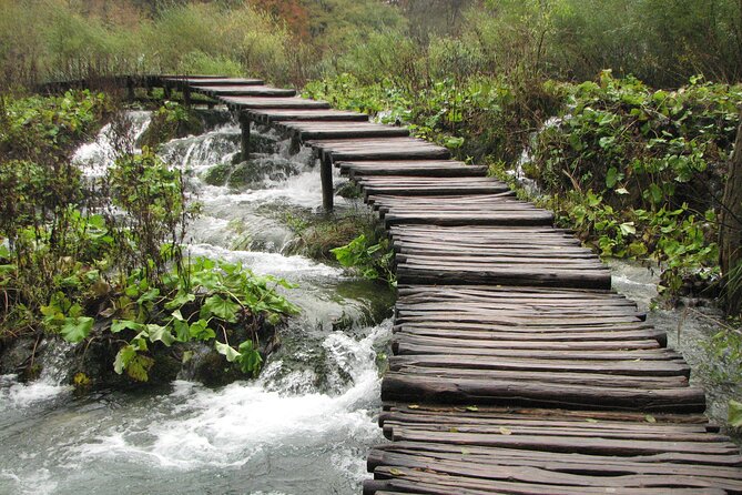 Plitvice Lakes Guided Tour - Native Flora and Fauna