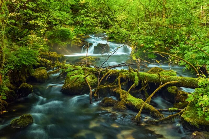 Plitvice Lakes: Guided Walking Tour and Boat Ride - Cancellation and Refund Policy