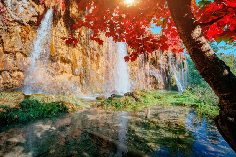 Plitvice Lakes National Park: Day Trip From Omiš - Tour Highlights and Experiences