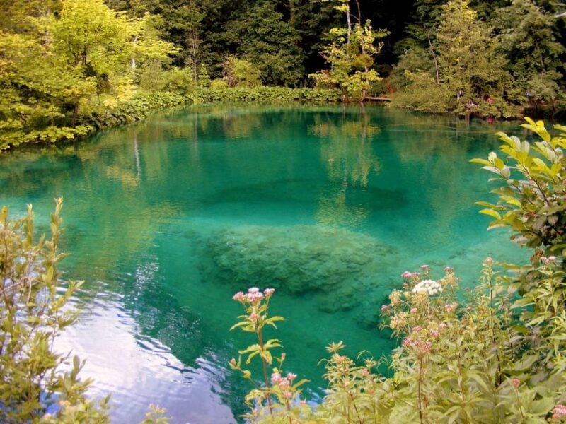 Plitvice Lakes National Park: Private Tour From Zadar - Tour Highlights