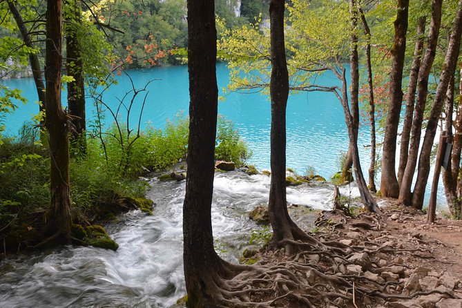 Plitvice Lakes National Park Tour From Zadar - Recommendations and Tips