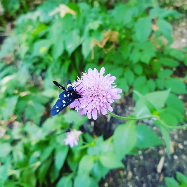 Plitvice Lakes National Park: Walking, Boat, and Train Tour - Booking Information