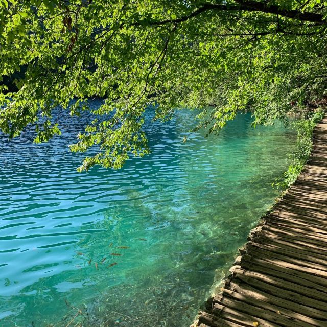 Plitvice Lakes National Park: Walking, Boat, and Train Tour - Participant Guidelines