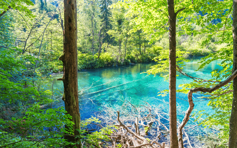 Plitvice Lakes Private Full Day Tour From Dubrovnik - Stunning Landscapes