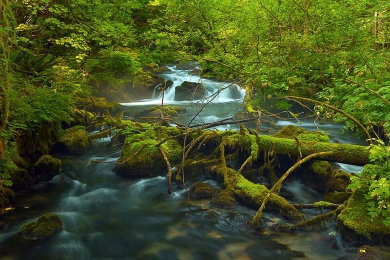 Plitvice Lakes Private Guided Tour - Additional Information