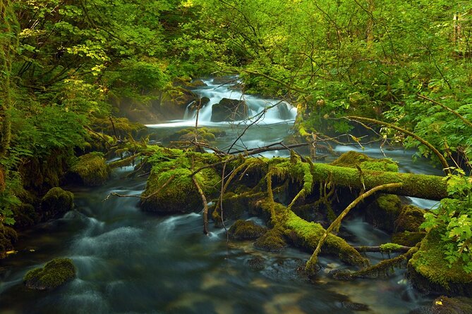 Plitvice Lakes Private Guided Walking Tour - Hotel Pickup and Drop-off