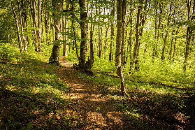 Plitvice Lakes Tour From Split With Entrance Ticket Included - Meeting and Pickup
