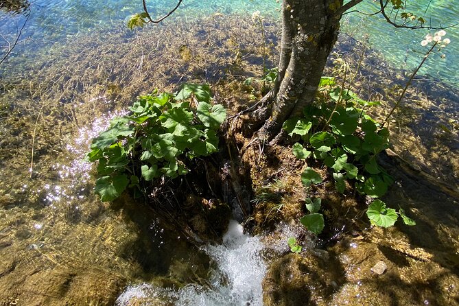 Plitvice Private Tour Driver + Guide up to 8 Ppl From Zadar - Tour Experience Highlights