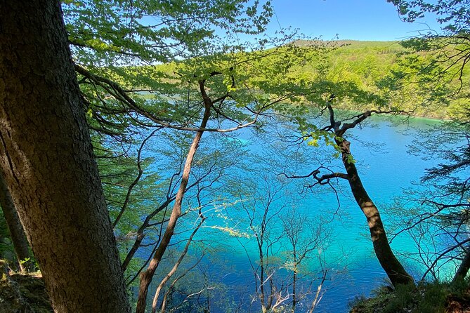 Plitvice Private Tour Driver + Guide up to 8 Ppl From Zadar - Exploring Plitvice Lakes