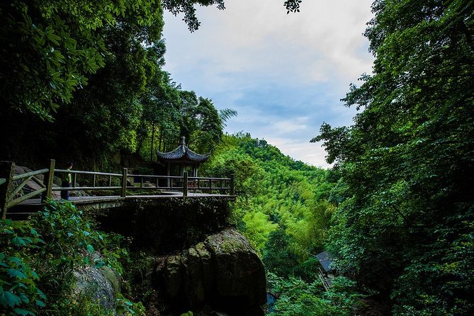 Plog and Hike Mount Mogan Nature Reserve – Guided Outdoor Tour From Hangzhou - Key Points