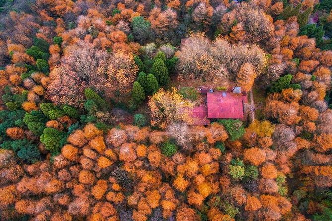 Plog and Hike Mount Mogan Nature Reserve – Guided Outdoor Tour From Hangzhou - Inclusions