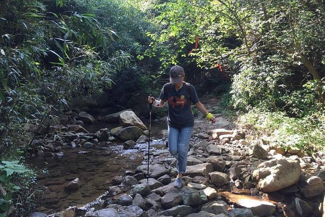 Plog and Hike Mount Mogan Nature Reserve – Guided Outdoor Tour From Hangzhou - Meeting and Pickup Information
