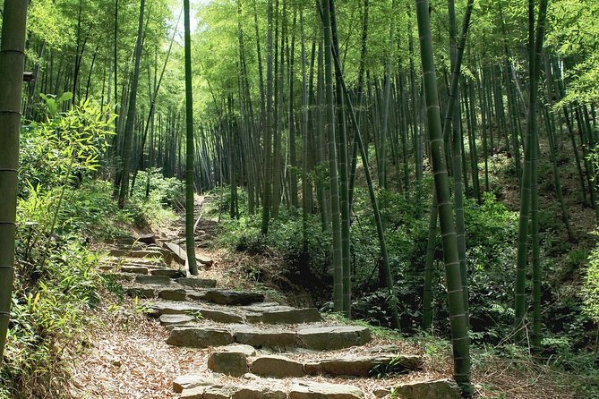 Plog and Hike Mount Mogan Nature Reserve – Guided Outdoor Tour From Hangzhou - Jianggong Ancient Path