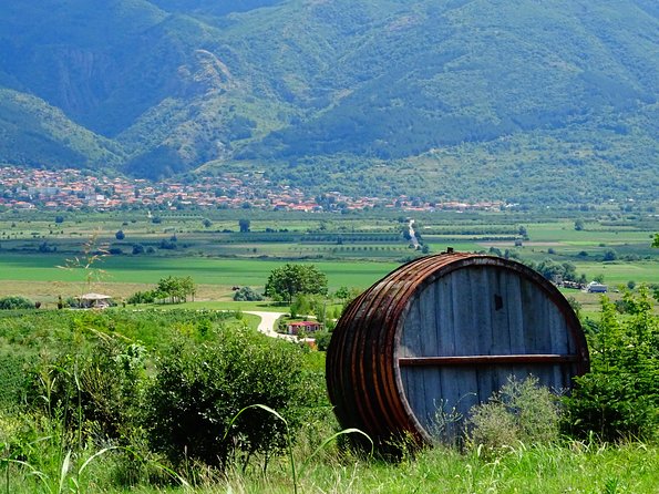 Plovdiv and Thracia Valley With Wine Tasting - Group Size and Accessibility