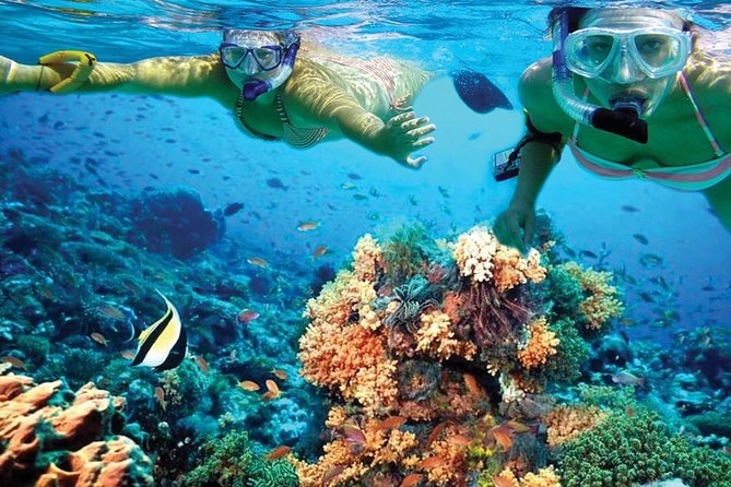 Plus Experience Isla Mujeres Tour - Rating and Reviews