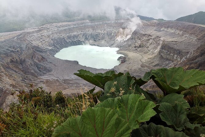 Poás Volcano, Coffee Plantation and La Paz Waterfall Gardens Tour - Guided Tour Experience