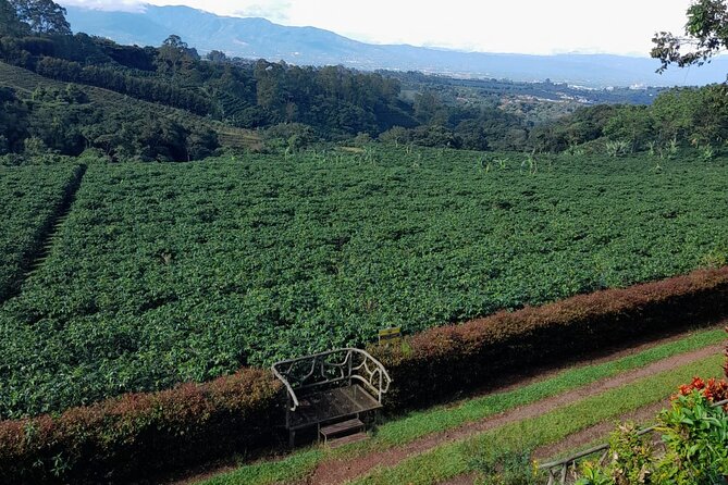 Poás Volcano, Coffee Plantation and La Paz Waterfall Gardens Tour - Traveler Considerations