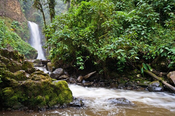 Poas Volcano + Coffee Plantations & La Paz Waterfall Gardens Trip From San Jose - Key Points