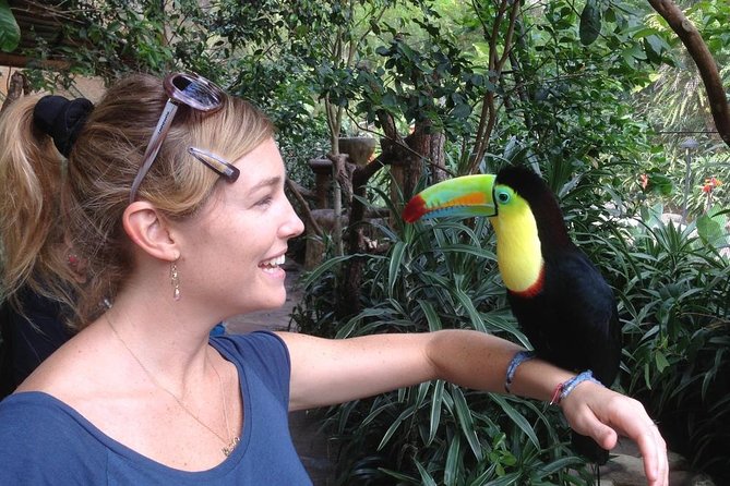 Poas Volcano & La Paz Waterfalls Gardens. Private Tour - Exploring Poas Volcano