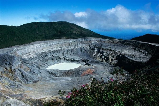 Poas Volcano National Park Half Day Tour From San Jose - Traveler Experiences and Feedback